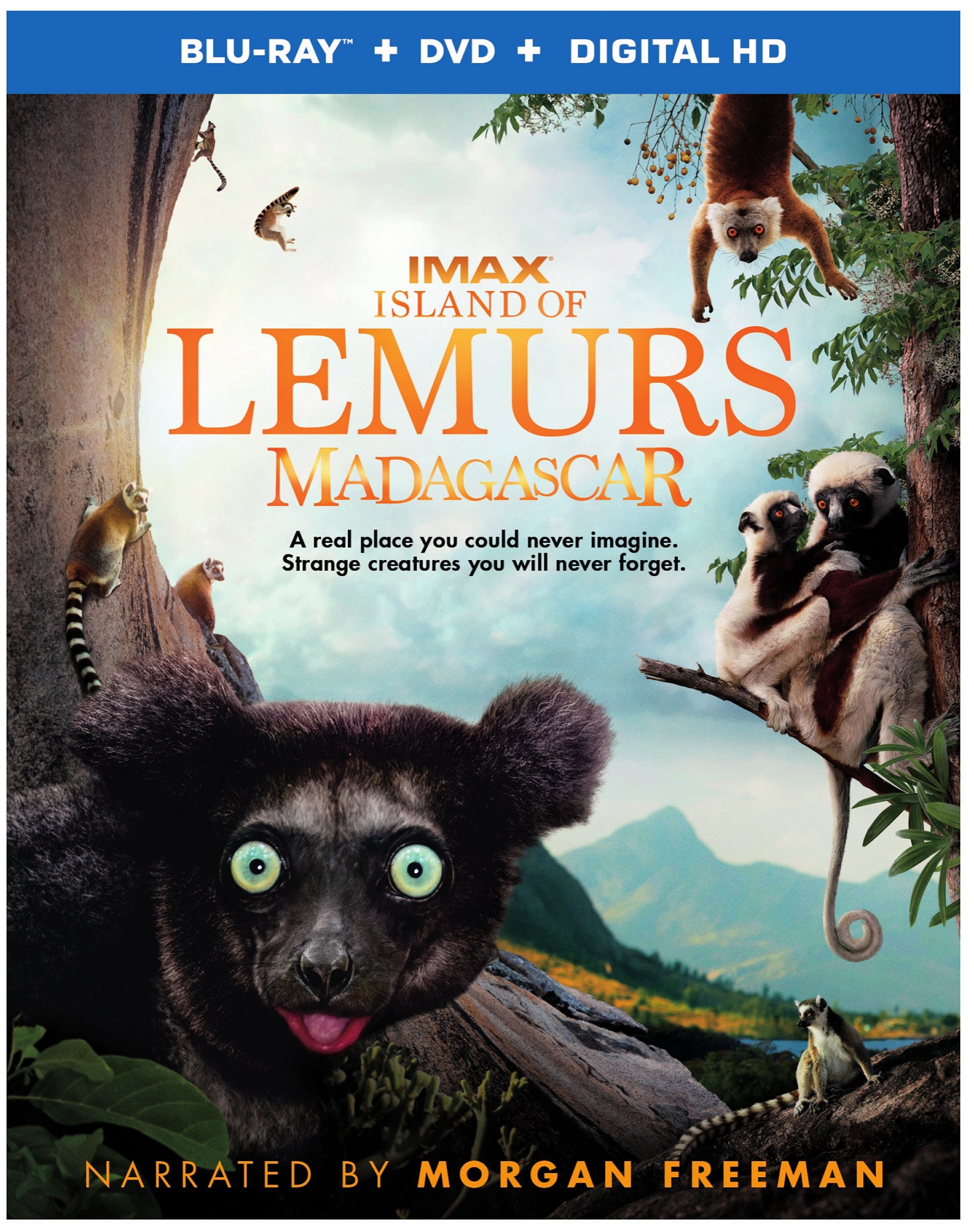 Island of Lemurs: Madagascar Blu-ray Review