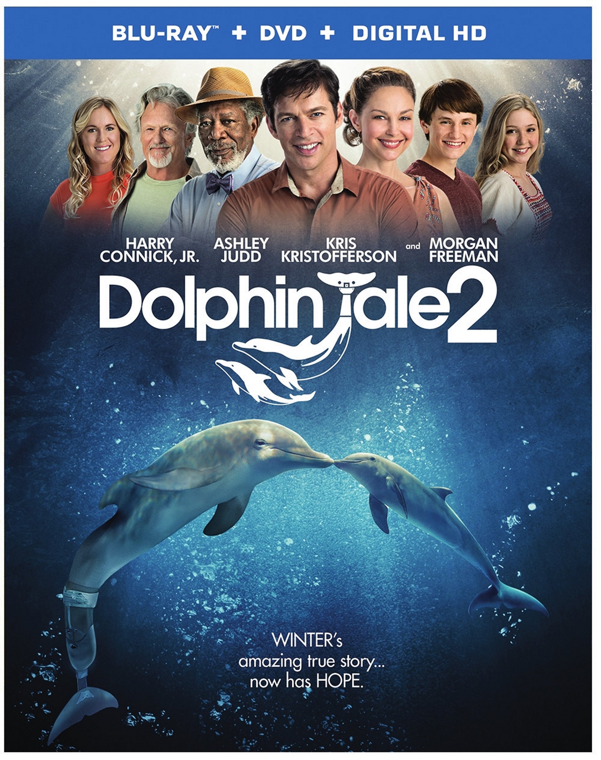Dolphin Tale 2 Blu-ray Review