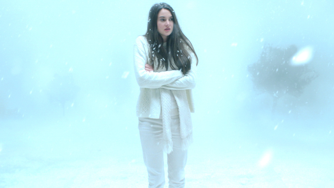 White Bird in Blizzard Still