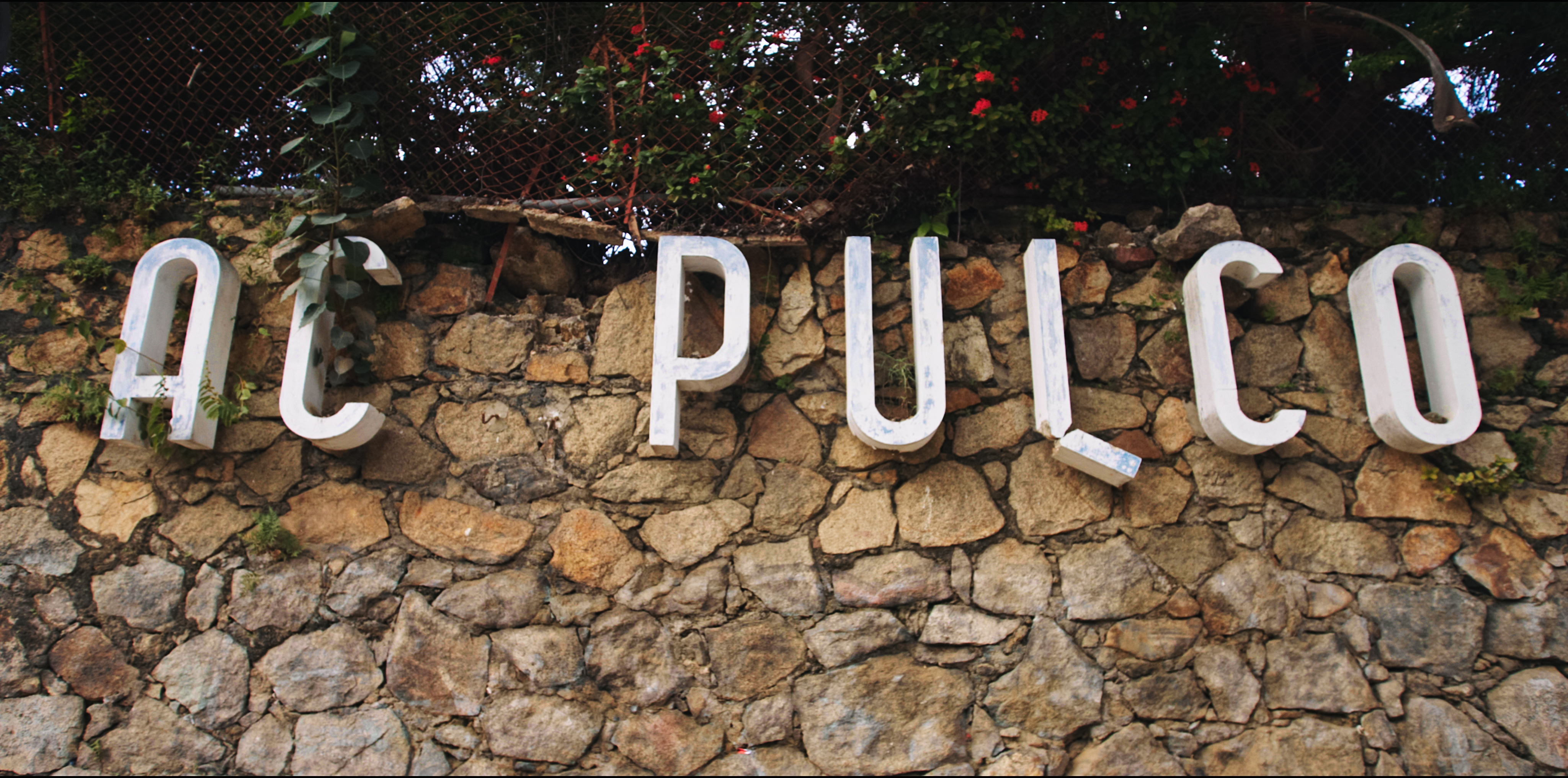 acpulco-still