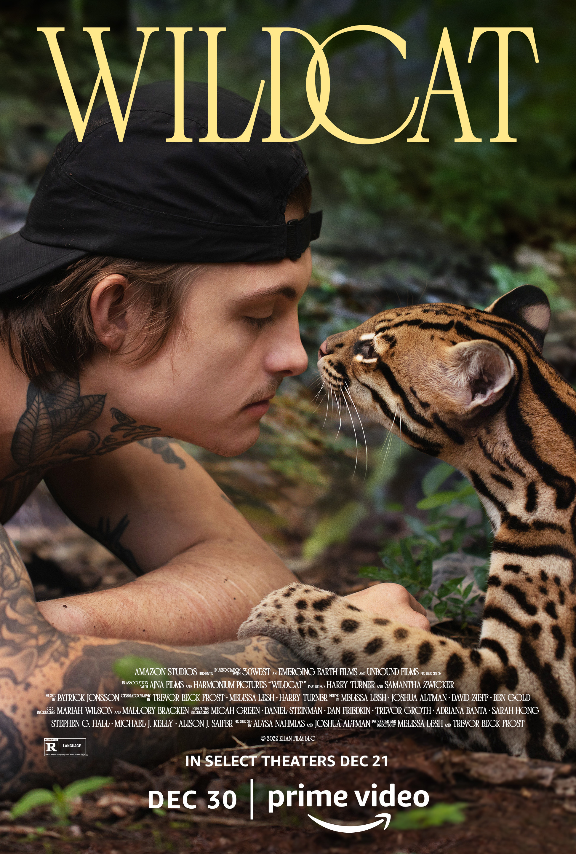 wildcat-poster